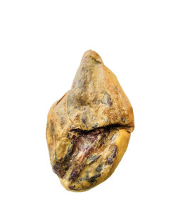 Jamón de Teruel DOP |...